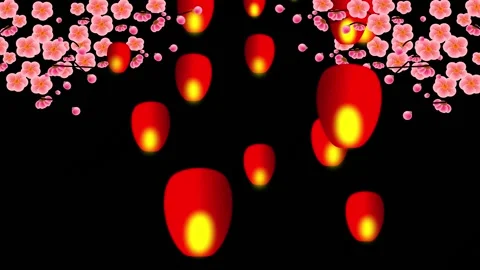 Flying red lantern in the dark sky. Blossom sakura. Stock Footage 147656783