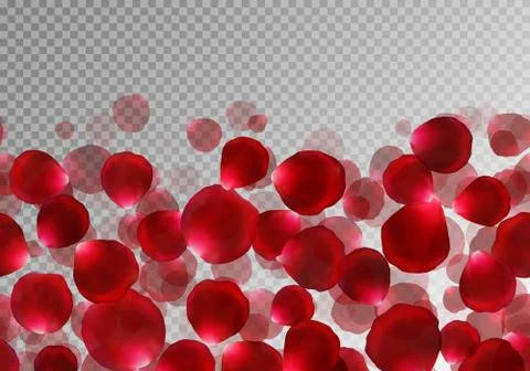 Flying red rose petals Stock Illustration