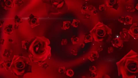 Flying Red Roses Background Video stock 87201007