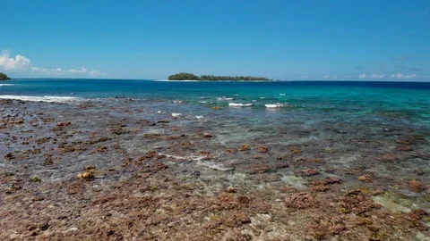 Flying on the reef of Arnavon tropical protected area 3 Stock Footage 104945207