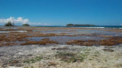 Flying on the reef of Arnavon tropical protected area. Stock Footage 104946258