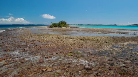 Flying on the reef of Arnavon tropical protected area 2 Stock Footage 104946437