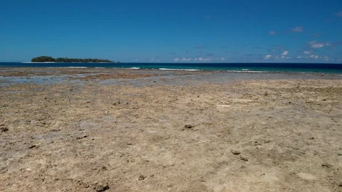Flying on the reef of Arnavon tropical protected area 4 Stock Footage 104948308