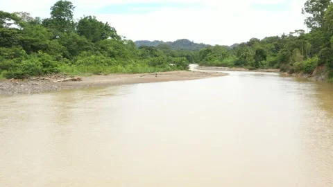 Flying relatively quick directly above a river in a tropical forest Stock Footage 142759703