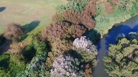 Flying on the river Stock Footage 136376888