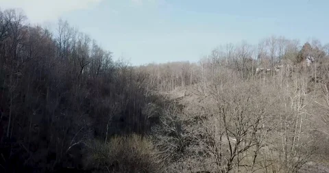 Flying Up in River Mountain Park 스톡 동영상 88261838