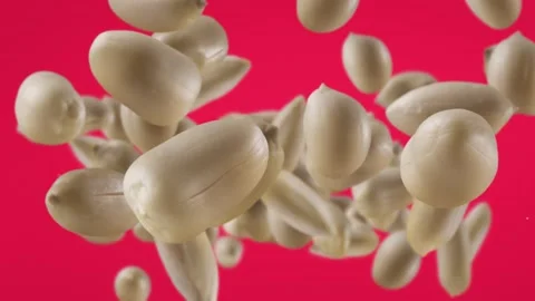 Flying of Roasted Peanuts in Fuchsia Background Stock Footage 147544223