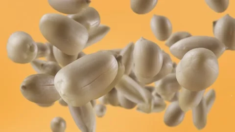 Flying of Roasted Peanuts in Pale Orange Background Stock Footage 147544112