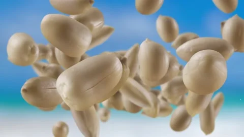 Flying of Roasted Peanuts in Sky Background Stock Footage 147543712
