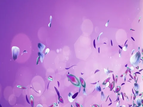 Flying Romantic Blue Purple Violet Orchid Flower Petals Placeholder Loop 4k Stock Footage 71415435