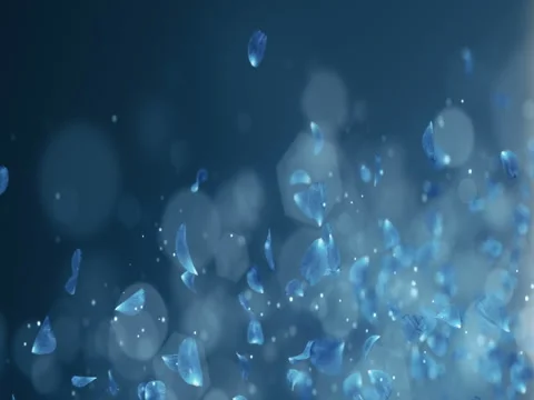 Flying Romantic Dark Blue Rose Orchid Flower Petals Falling Placeholder Loop 4k Stock Footage 71417761