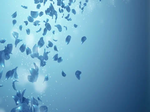 Flying Romantic Dark Blue Rose Orchid Flower Petals Falling Placeholder Loop 4k Stock Footage 71418745