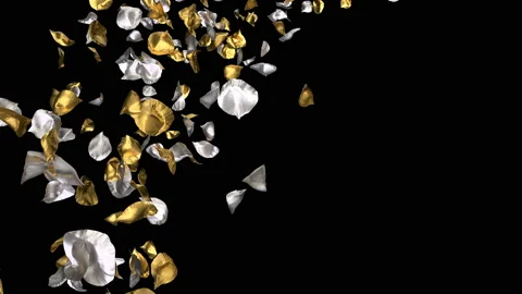Flying Romantic golden silver Rose Flower Petals Falling Alpha Channel Loop Stock Footage 96156491