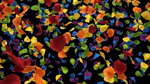 Flying Romantic iridescent colorful rainbow Rose Flower Petals Alpha Loop Stock Footage 106954307