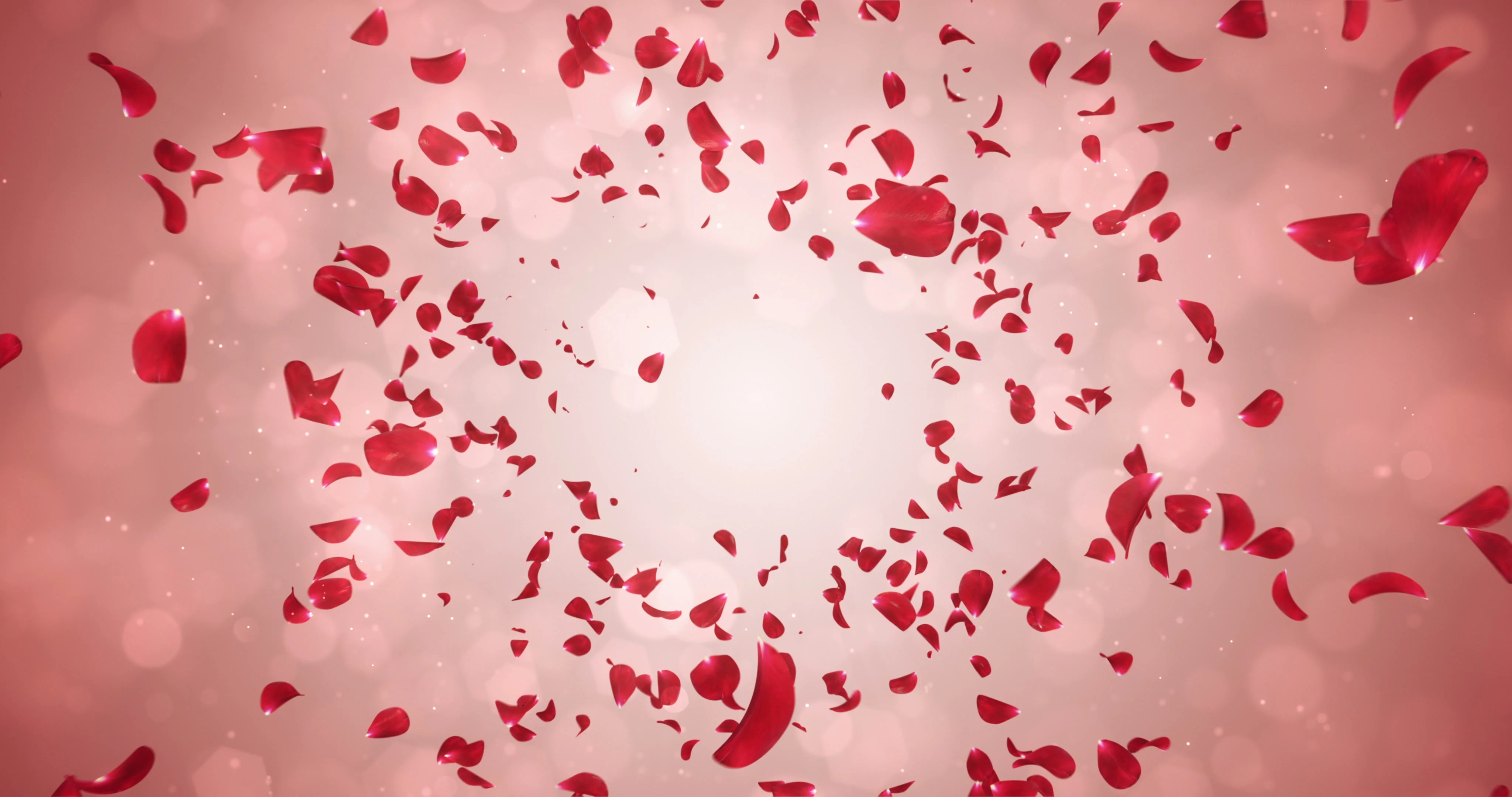 Romantic Red Rose Petals