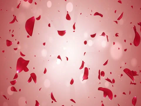 Flying Romantic Red Rose Flower Petals Falling Background Loop 4k Stock Footage 71421299