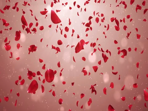 Flying Romantic Red Rose Flower Petals Falling Background Loop 4k Stock Footage 71421471