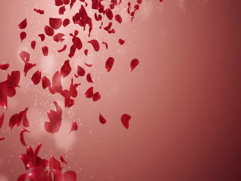 Flying Romantic Red Rose Flower Petals Falling Placeholder Loop 4k Stock Footage 71421895