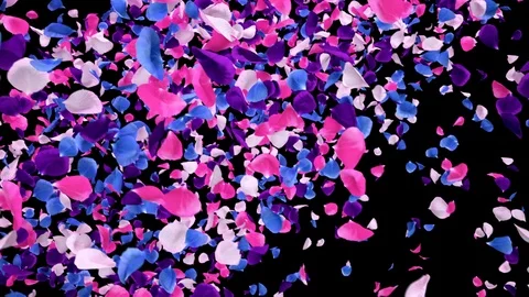 Flying Romantic vibrant colorful Rose Flower Petals Falling Alpha transition Stock Footage 106954709