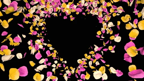 Flying Romantic vibrant colorful Rose Flower Petals heart Alpha isolated Loop Stock Footage 106955622