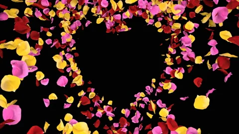 Flying Romantic vibrant colorful Rose Flower Petals heart Alpha isolated Loop Stock Footage 106956114