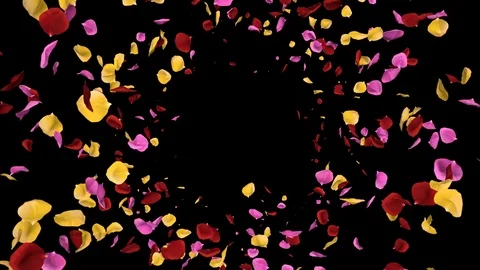 Flying Romantic vibrant colorful Rose Flower Petals Falling Alpha isolated Loop Stock Footage 106956133