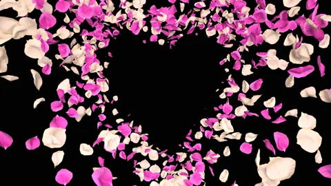Flying Romantic white pink Rose Flower Petals heart Alpha isolated Loop Stock Footage 106954893