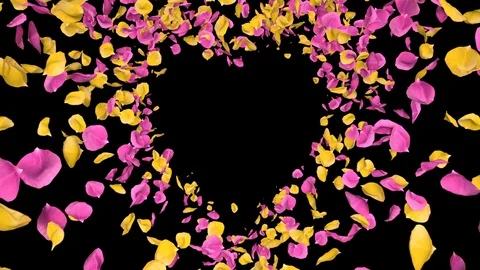 Flying Romantic yellow pink Rose Flower Petals heart Alpha isolated Loop Stock Footage 106955112