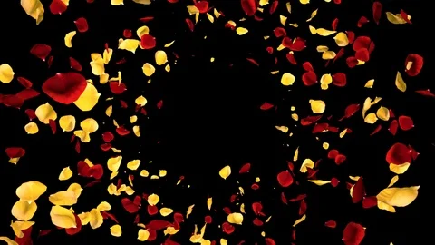 Flying Romantic yellow red Rose Flower Petals Falling Alpha isolated Loop Stock Footage 106955753