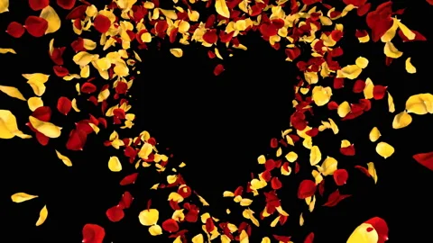 Flying Romantic yellow red Rose Flower Petals heart Alpha isolated Loop Stock Footage 106956206