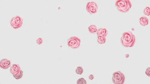 Flying roses in the wind on alpha channel animation on chromakey 動画素材 313229511