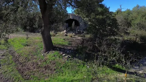 Flying into Ruin with Big Oak Tree Stock Footage 285730108