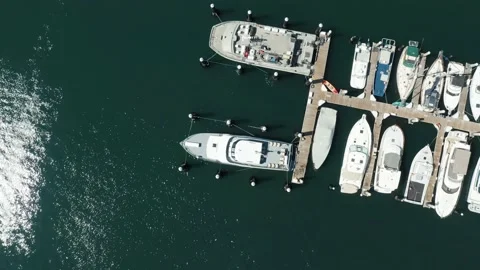 Flying at the Santa Barbara Harbor, CA Stock Footage 156936123