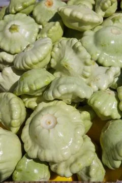 Flying saucer squash Stock Photos