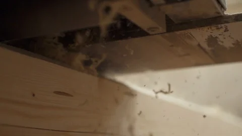 Flying sawdust from under the sander close-up Stock Footage 98120839