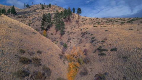 Flying Up Scenic Dry Hillside 2 Stock Footage 296863701