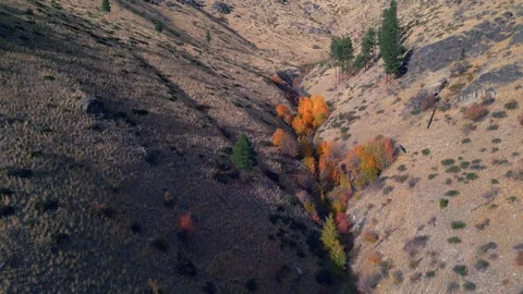 Flying Up Scenic Dry Hillside 3 Stock Footage 296863551