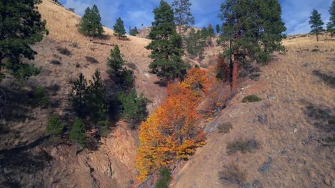 Flying Up Scenic Dry Hillside Stock Footage 296863765