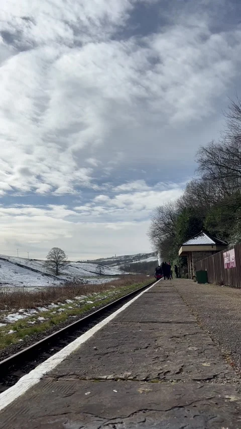 The Flying Scotsman in England Stock Footage 236206985