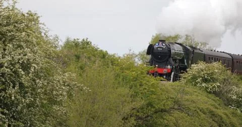 Flying Scotsman 스톡 사진