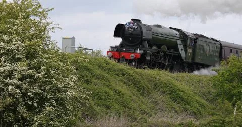 Flying Scotsman Stock Photos
