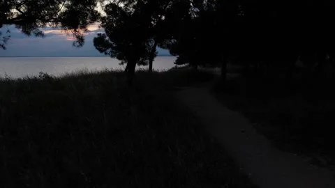 Flying to the sea Vídeo Stock 139827199