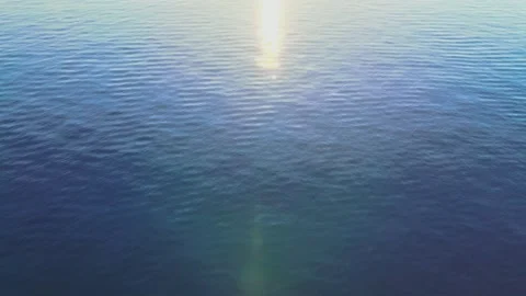 Flying on the sea toward the sunset Stock Footage 131810914