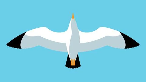 Flying seagull. Close up of a gull in the sky. Stock Illustration