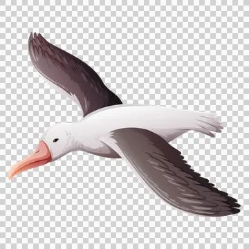 Flying Seagull in Flight Ilustração Stock