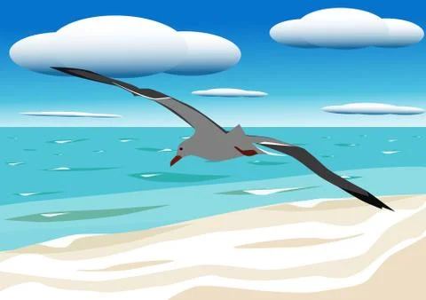 A flying seagull Illustration
