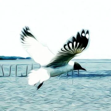 Flying Seagull Stock Photos