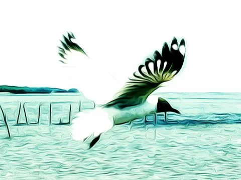 Flying Seagull Stock Photos