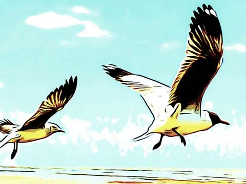 Flying Seagull Stock Photos