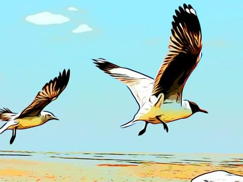 Flying Seagull Stock Photos